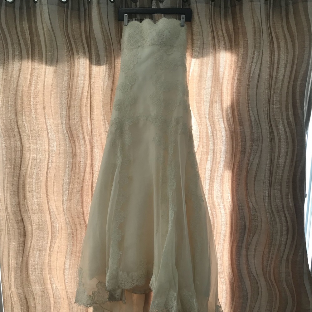 Pronovias - Manuel Mota Wedding Dress - Picture 3 of 8